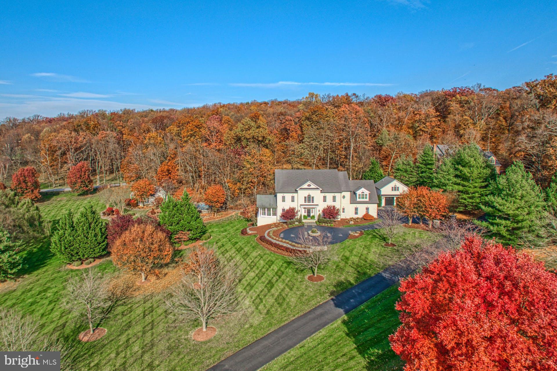 40280 SPECTACULAR BID PLACE