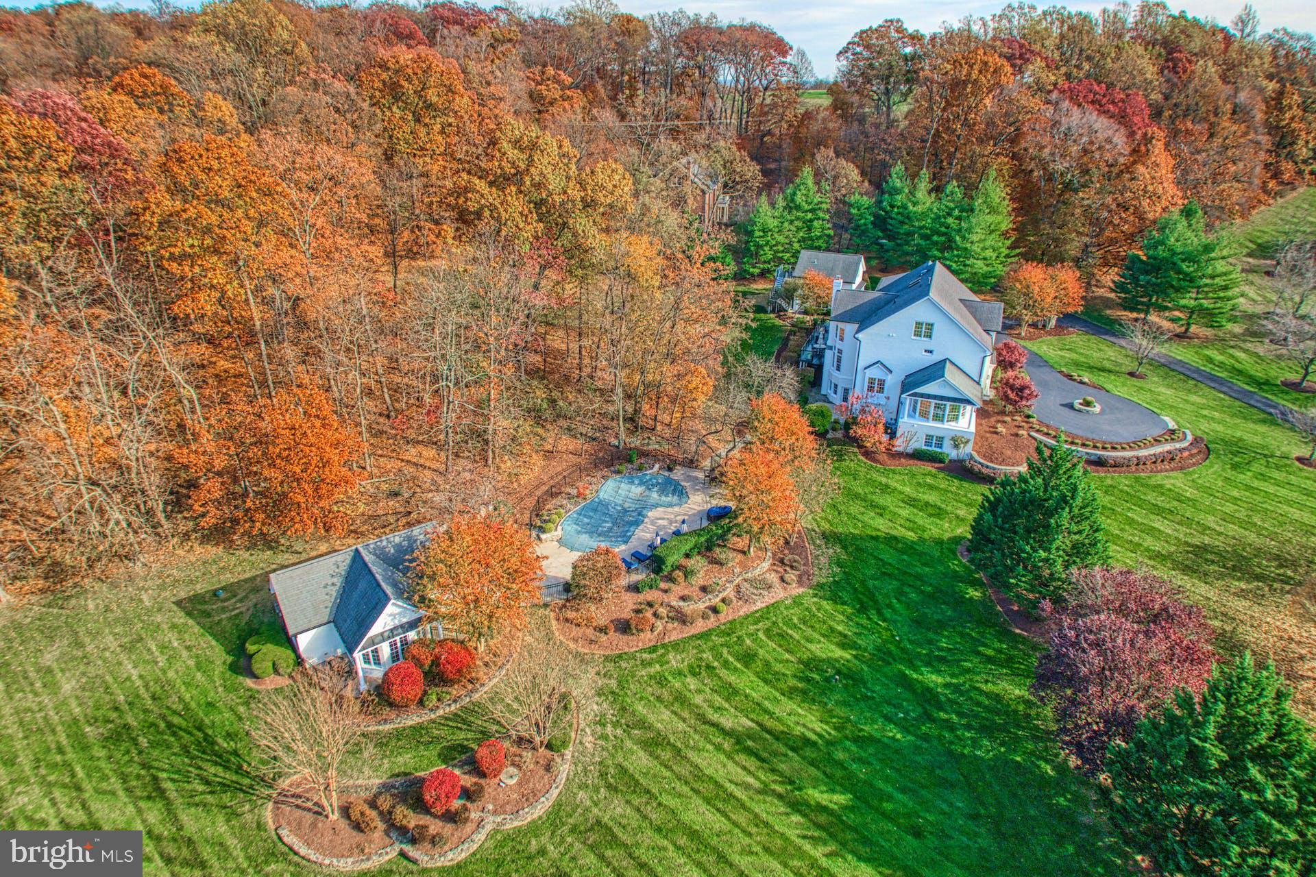 40280 SPECTACULAR BID PLACE