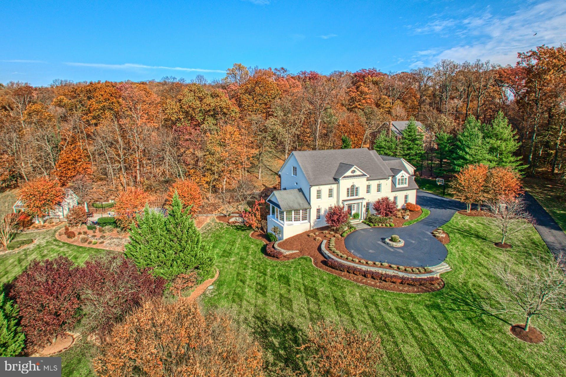 40280 SPECTACULAR BID PLACE