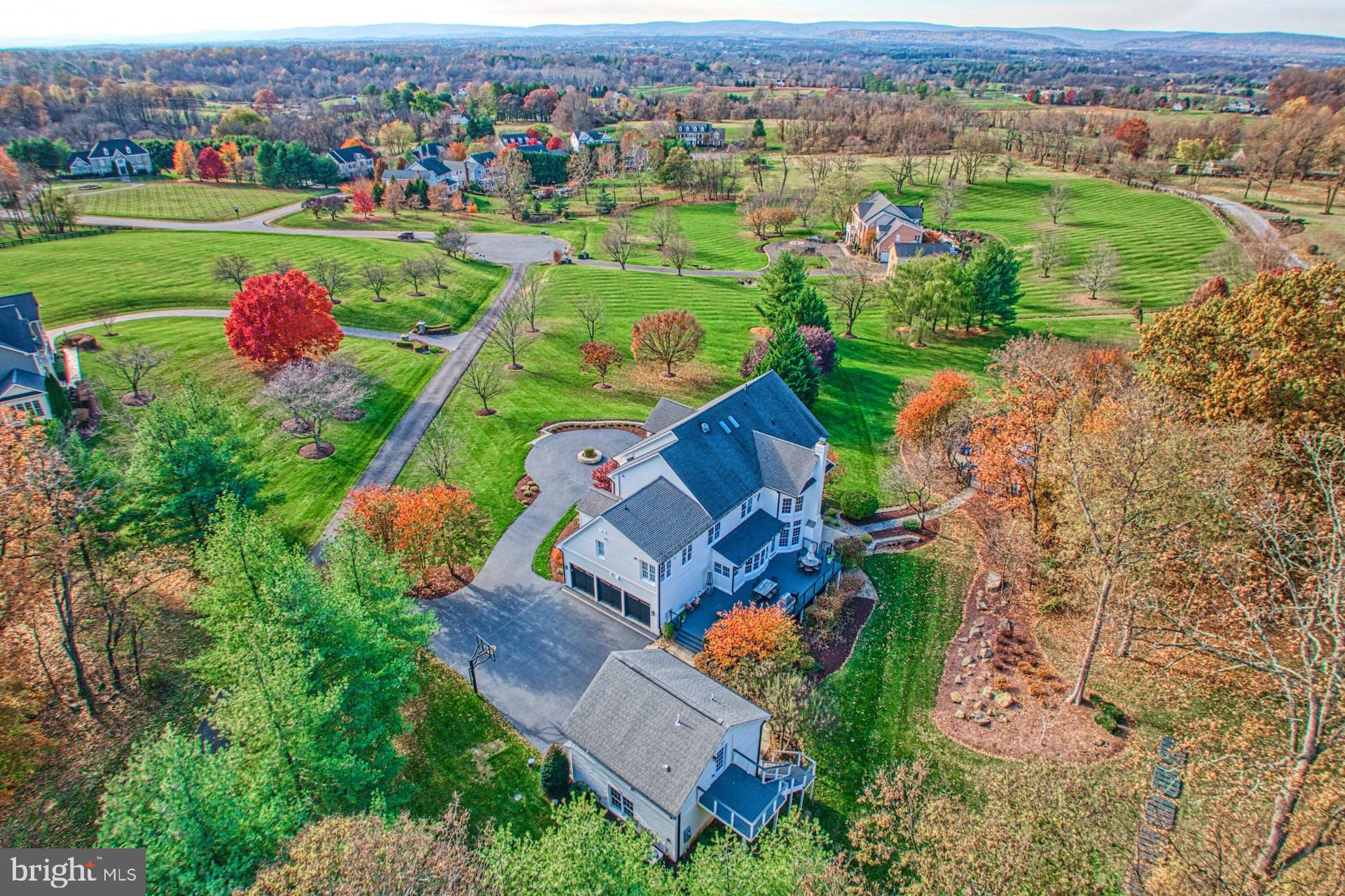 40280 SPECTACULAR BID PLACE