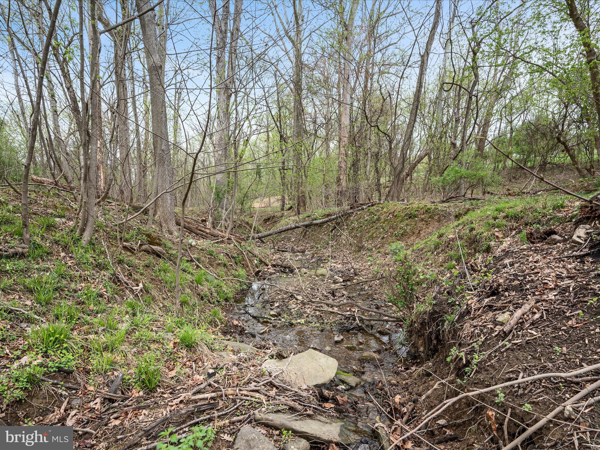 39918 CANTERFIELD COURT