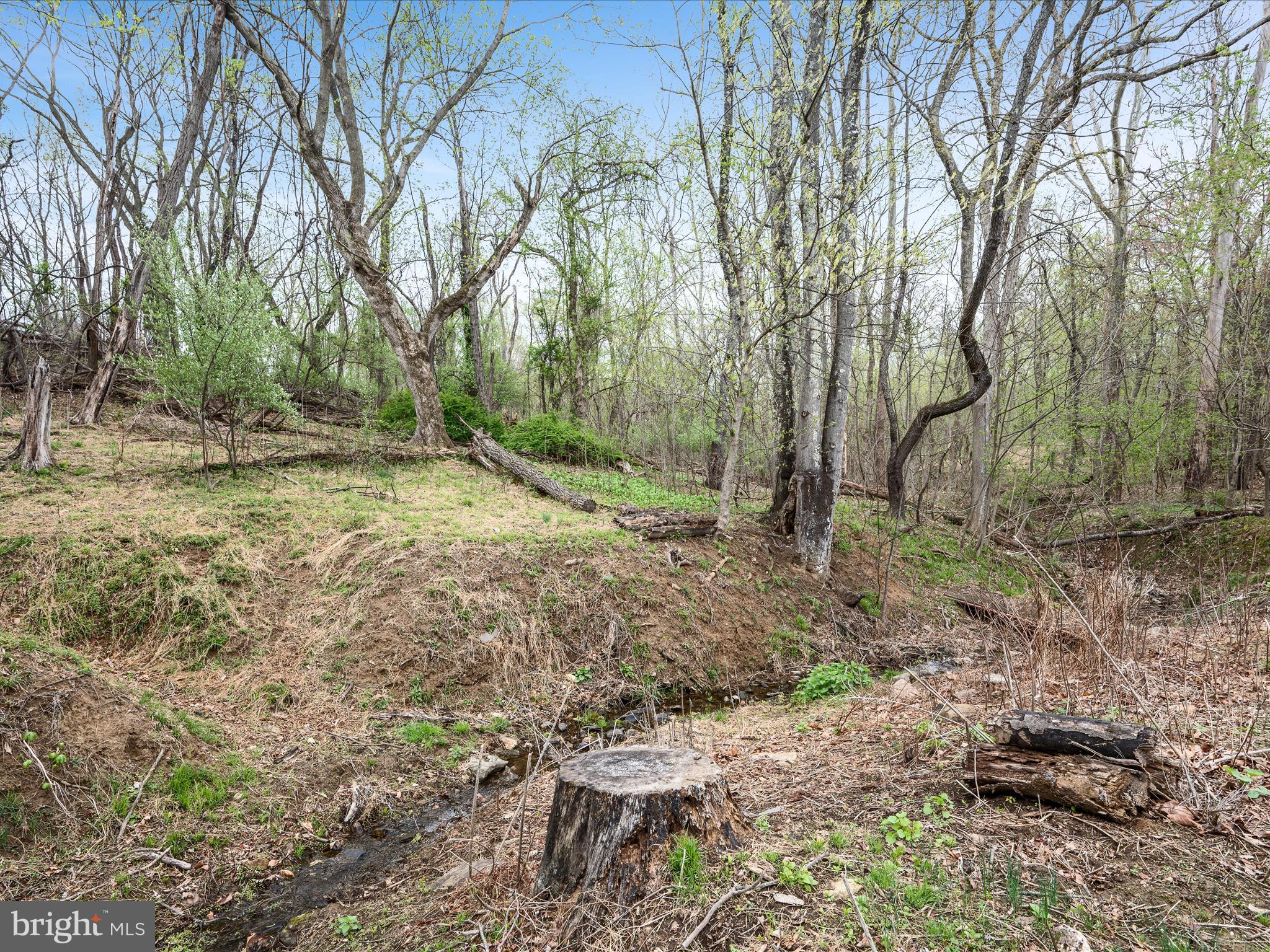 39918 CANTERFIELD COURT