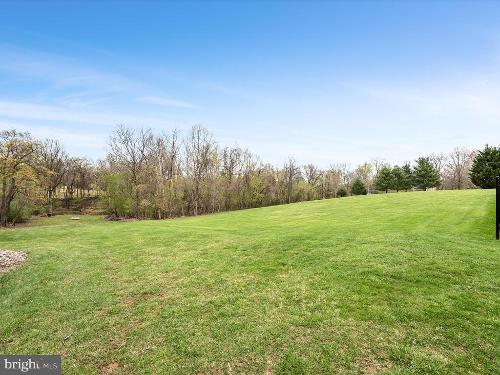 39918 CANTERFIELD COURT