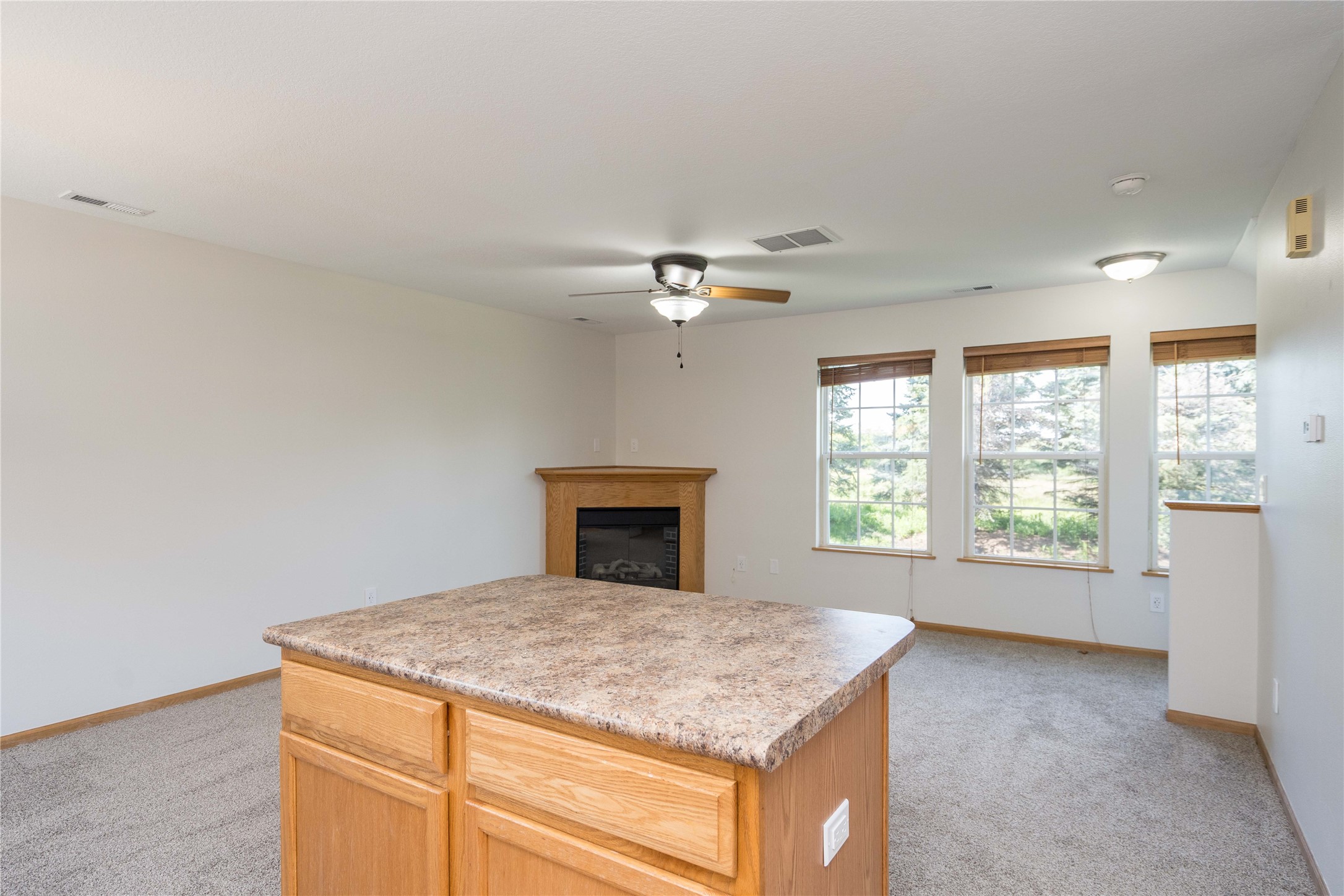 15229 Alpine Drive