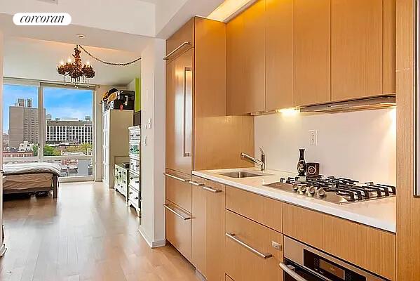 340 E 23RD Street 10B