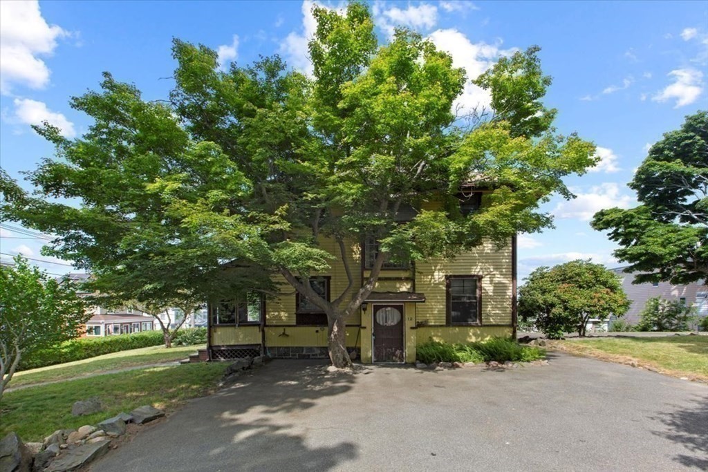12 Laurel St