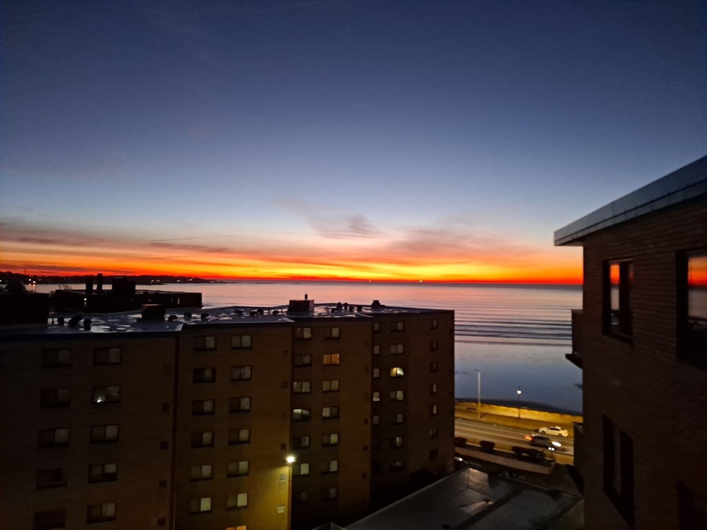 300 Lynn Shore Dr Unit: 1007