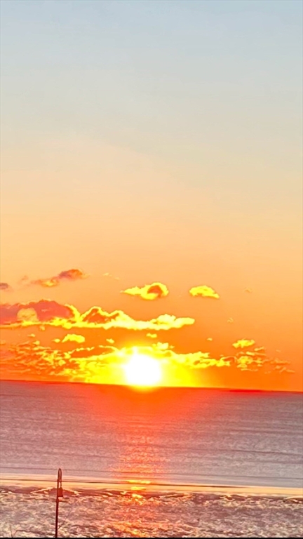 300 Lynn Shore Dr Unit: 408