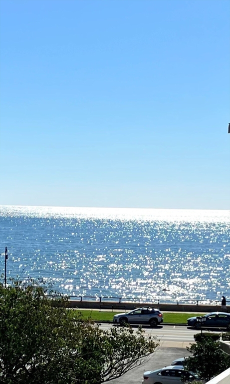 300 Lynn Shore Dr Unit: 408
