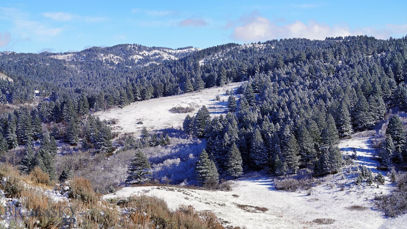 50 Moffit Gulch Road