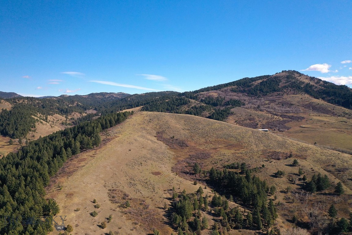 50 Moffit Gulch Road