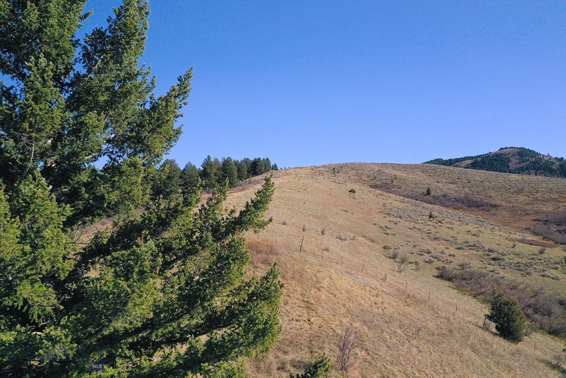 50 Moffit Gulch Road