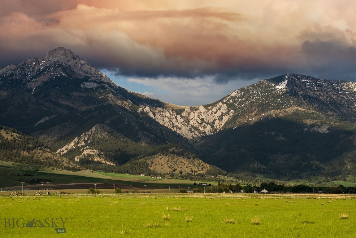 4228 Springhill Community Road