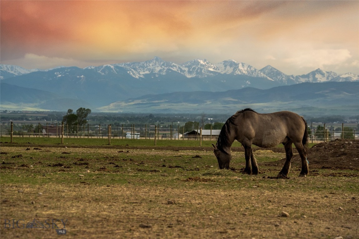 4228 Springhill Community Road