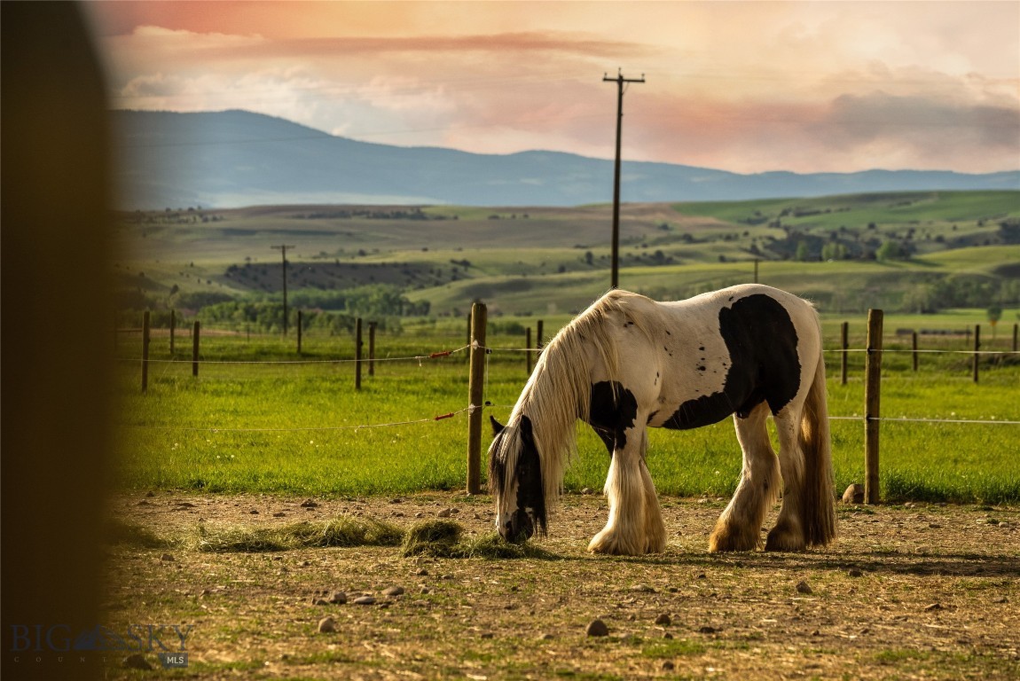 4228 Springhill Community Road