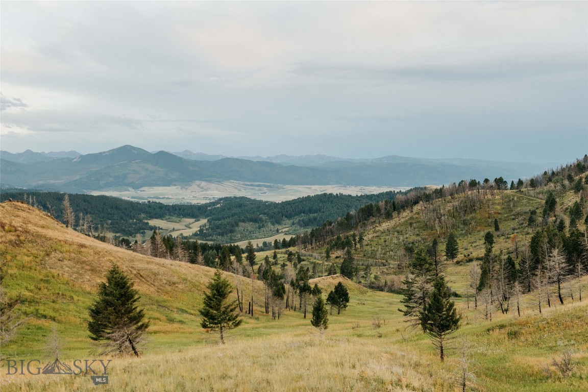 TBD Rising Spirits & Place Creek Road