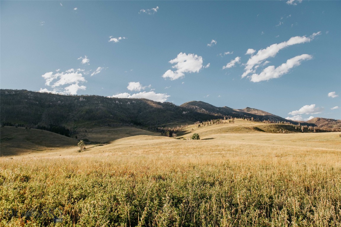 TBD Rising Spirits & Place Creek Road