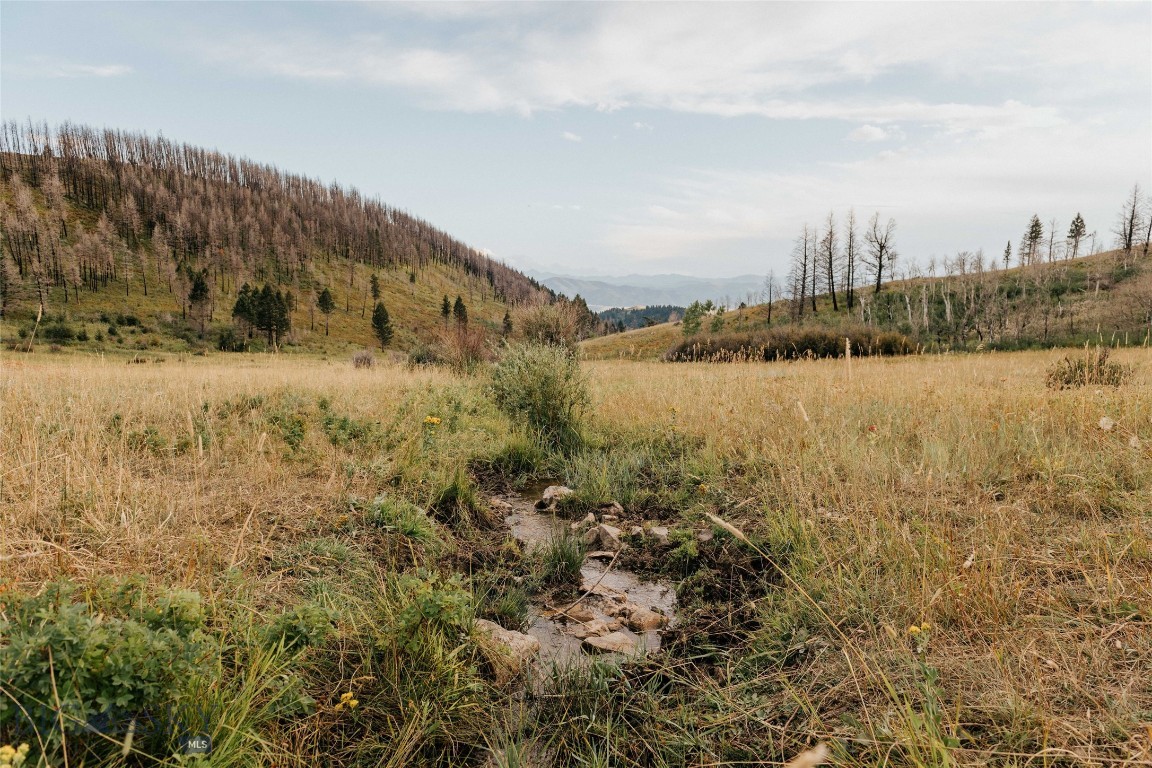 TBD Rising Spirits & Place Creek Road