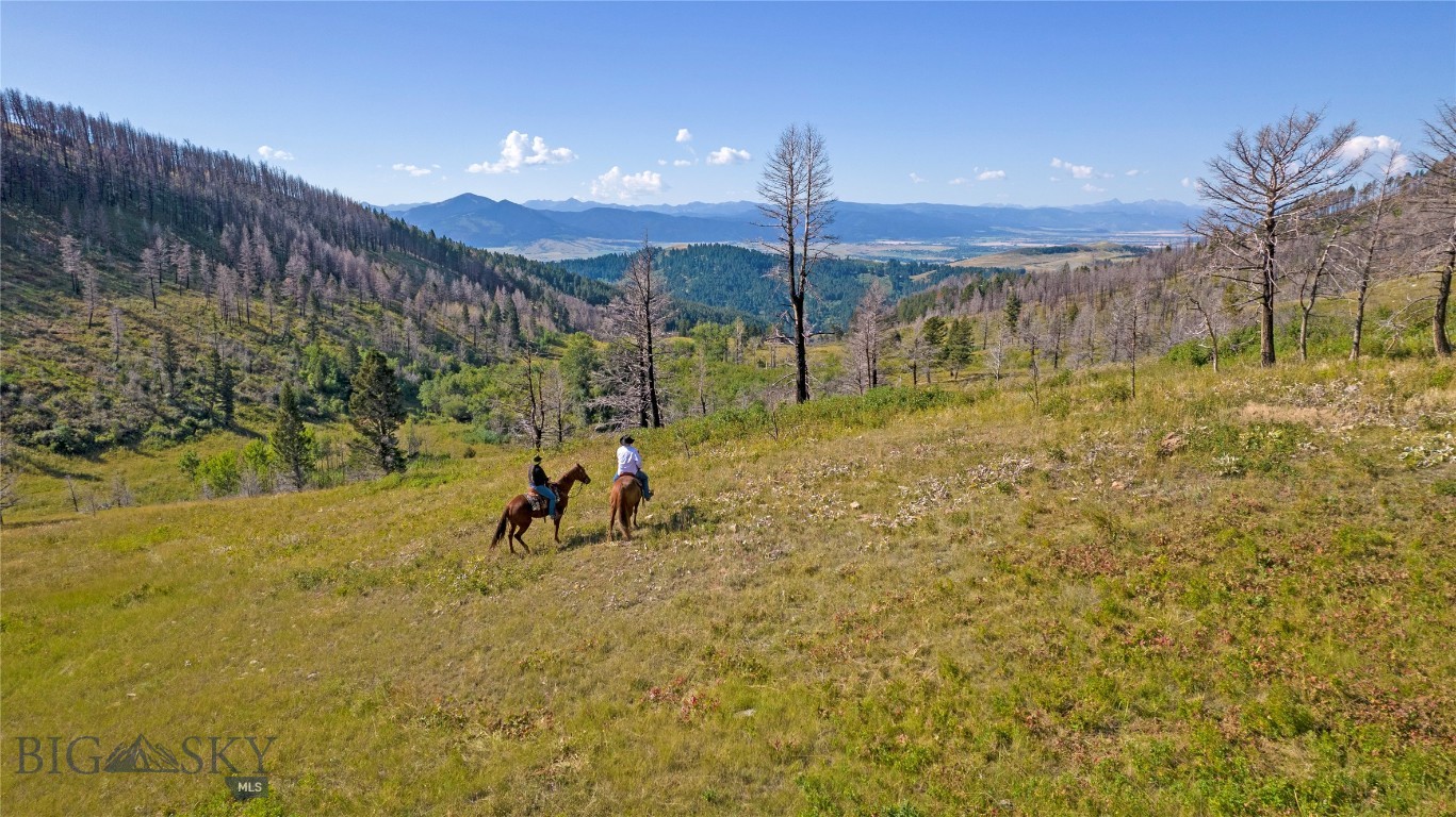 TBD Rising Spirits & Place Creek Road