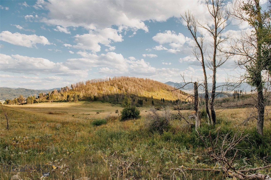 TBD Rising Spirits & Place Creek Road