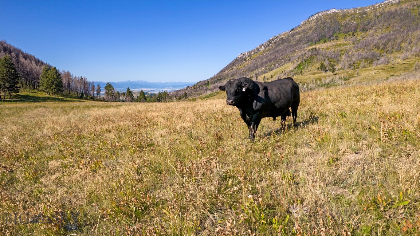 TBD Rising Spirits & Place Creek Road