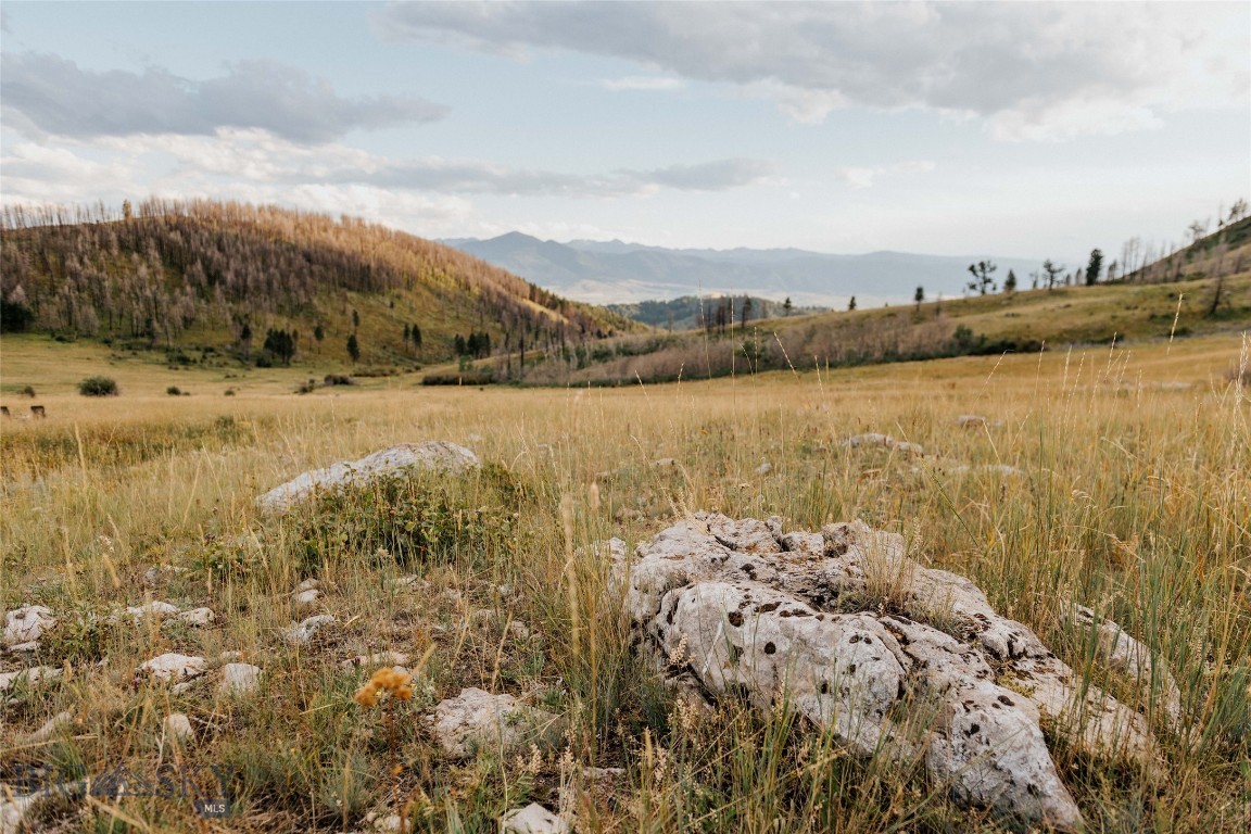 TBD Rising Spirits & Place Creek Road