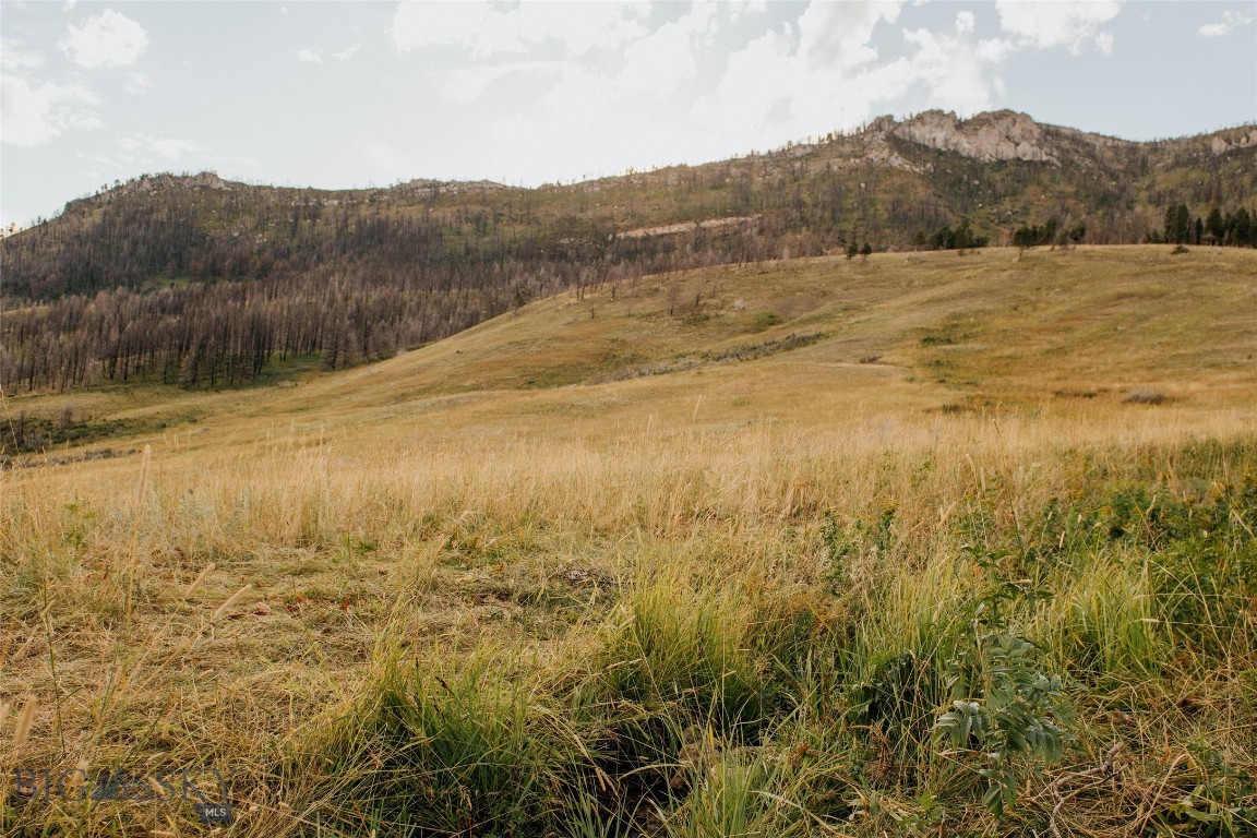 TBD Rising Spirits & Place Creek Road