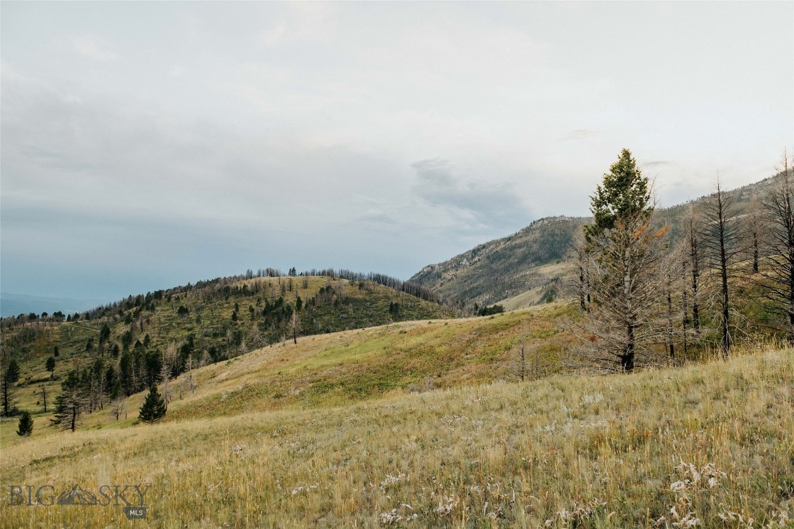 TBD Rising Spirits & Place Creek Road