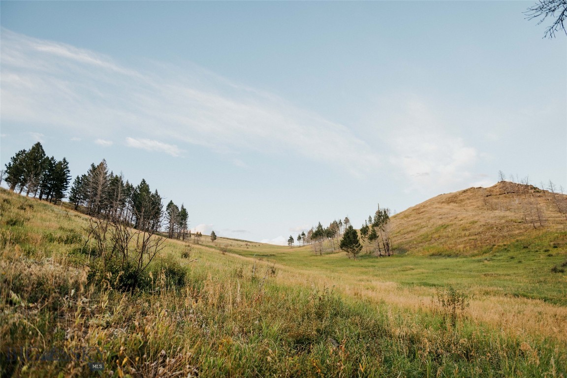 TBD Rising Spirits & Place Creek Road