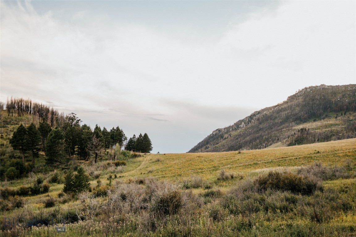 TBD Rising Spirits & Place Creek Road