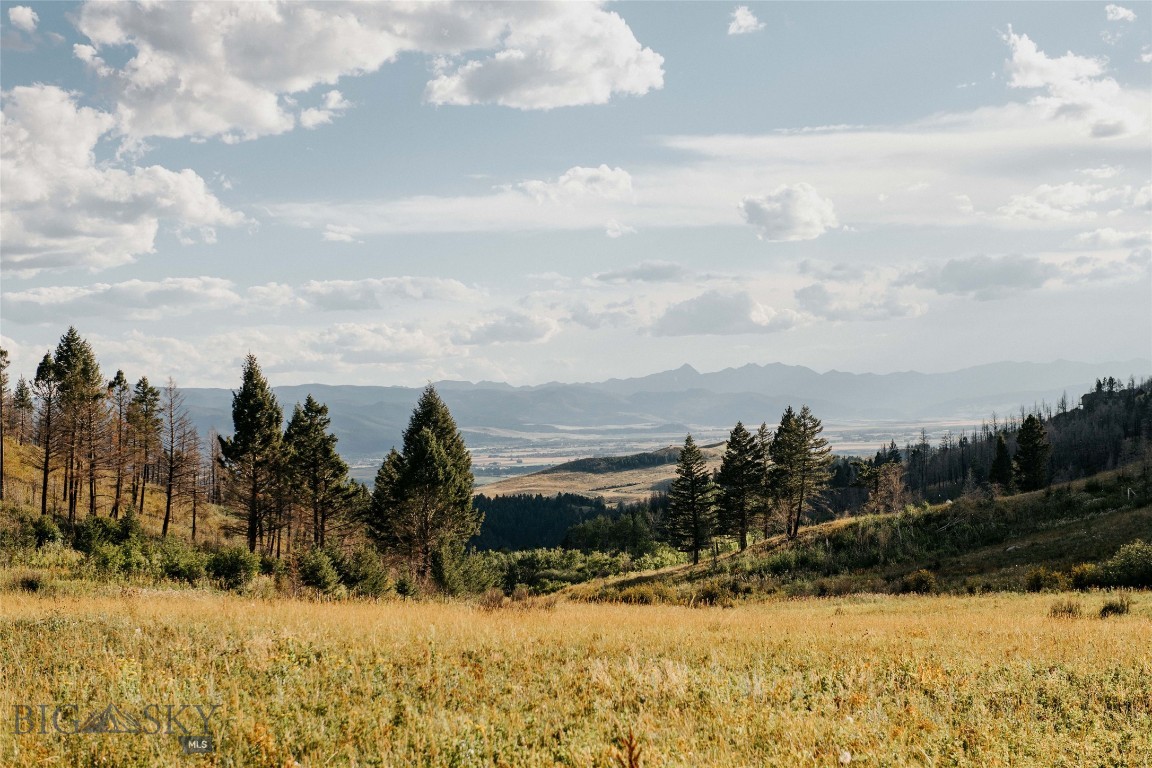 TBD Rising Spirits & Place Creek Road