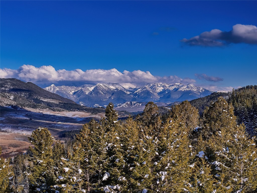 1300 Goose Ridge Road