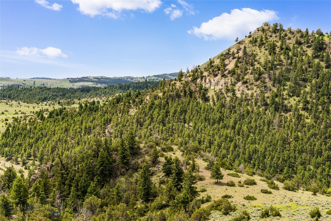 506 Brackett Creek Road