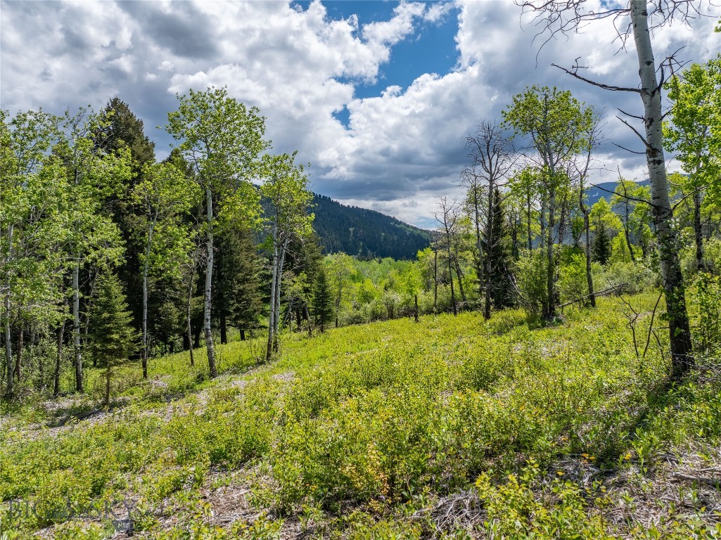 13011 Cottonwood Canyon Road