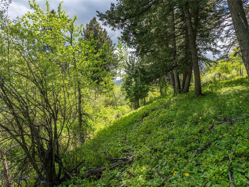 13011 Cottonwood Canyon Road