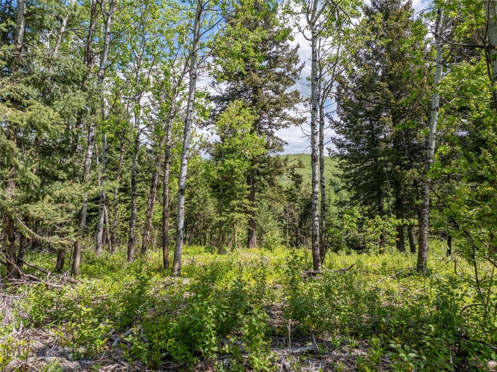 13011 Cottonwood Canyon Road