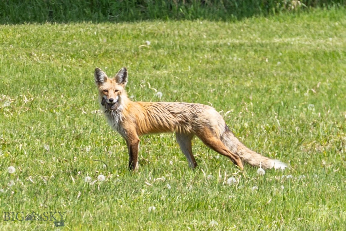 13011 Cottonwood Canyon Road