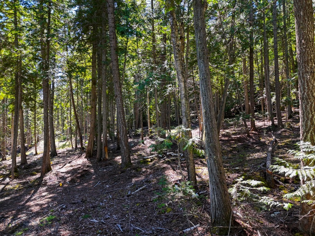 TBD Swan Shores Lane