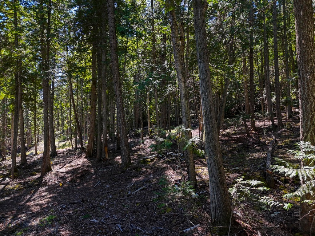 TBD Swan Shores Lane