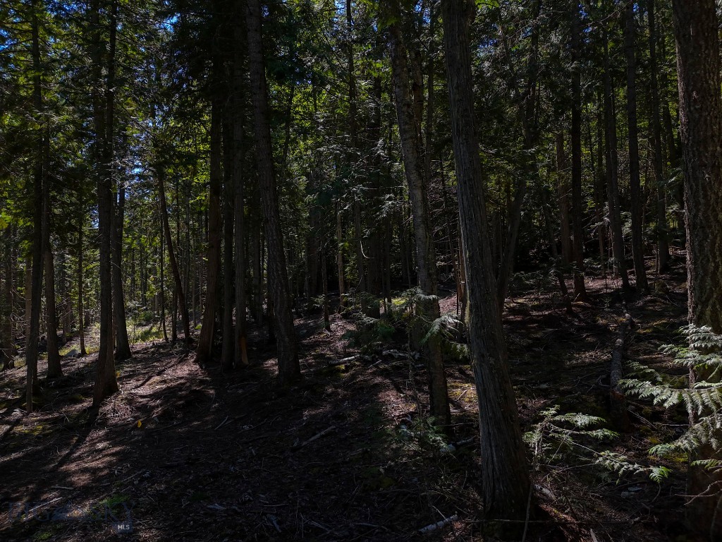 TBD Swan Shores Lane