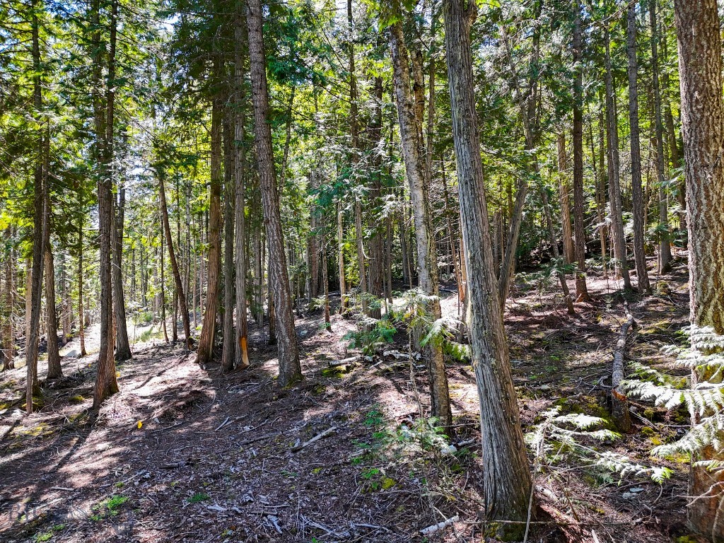 TBD Swan Shores Lane