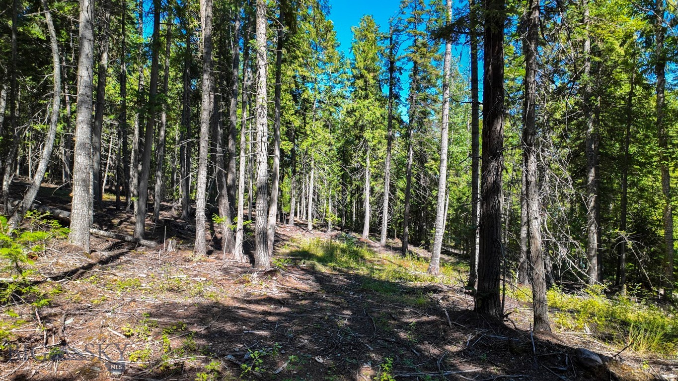 TBD Swan Shores Lane