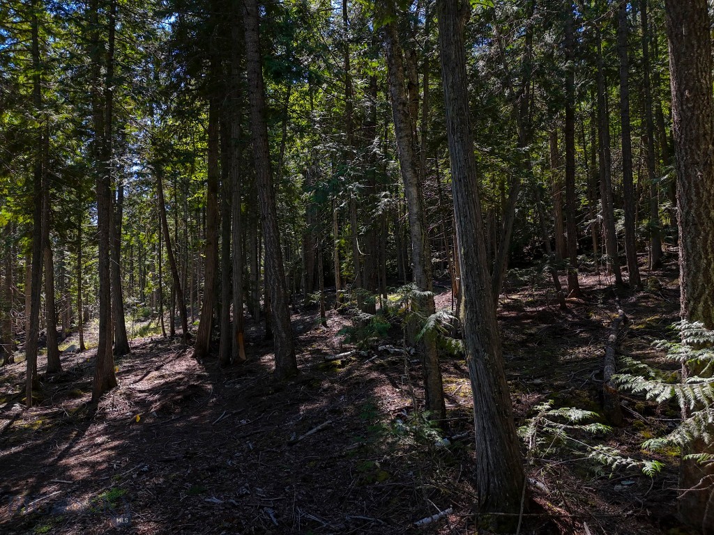 TBD Swan Shores Lane