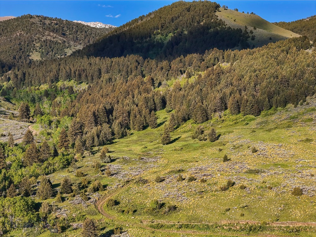 Aspen Ridge Ranch at Four Bar Ranches
