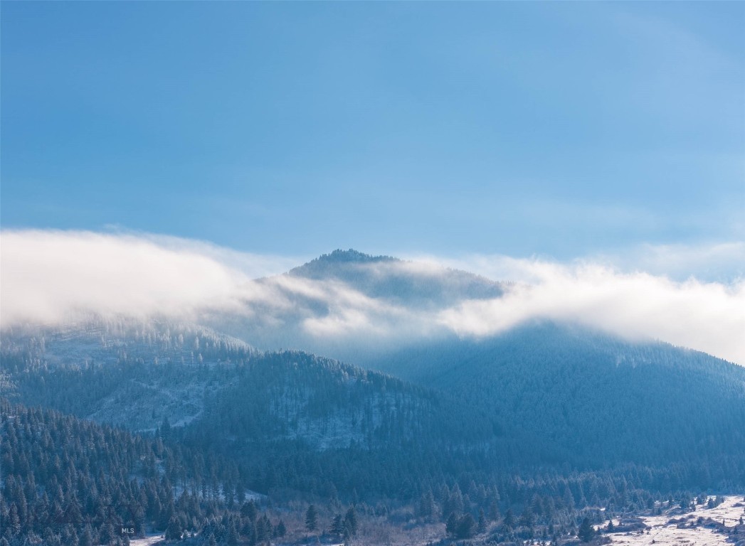 1903 Mount Ellis Lane