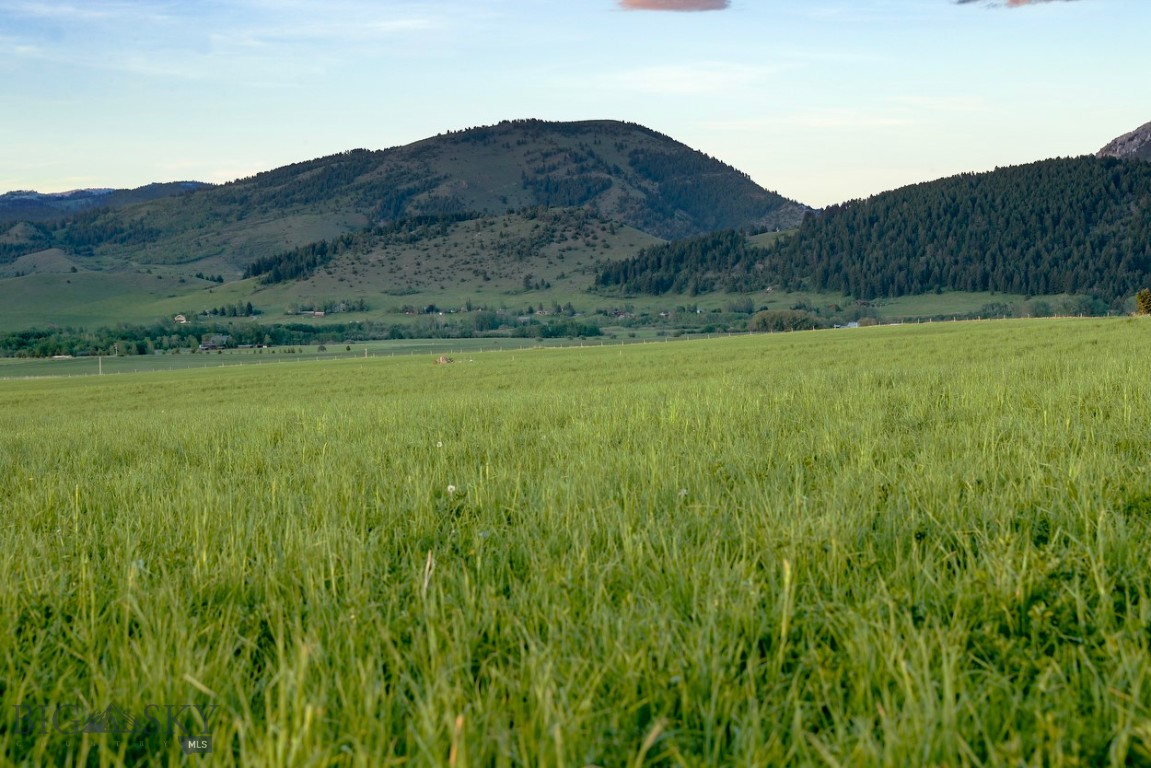 1903 Mount Ellis Lane