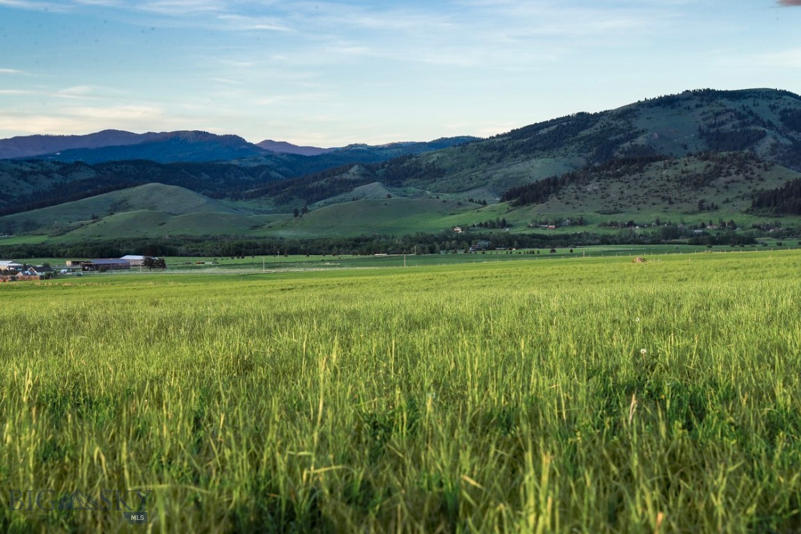 1903 Mount Ellis Lane