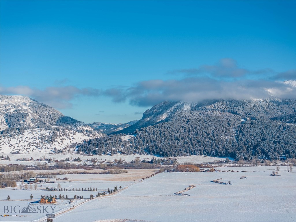 1903 Mount Ellis Lane