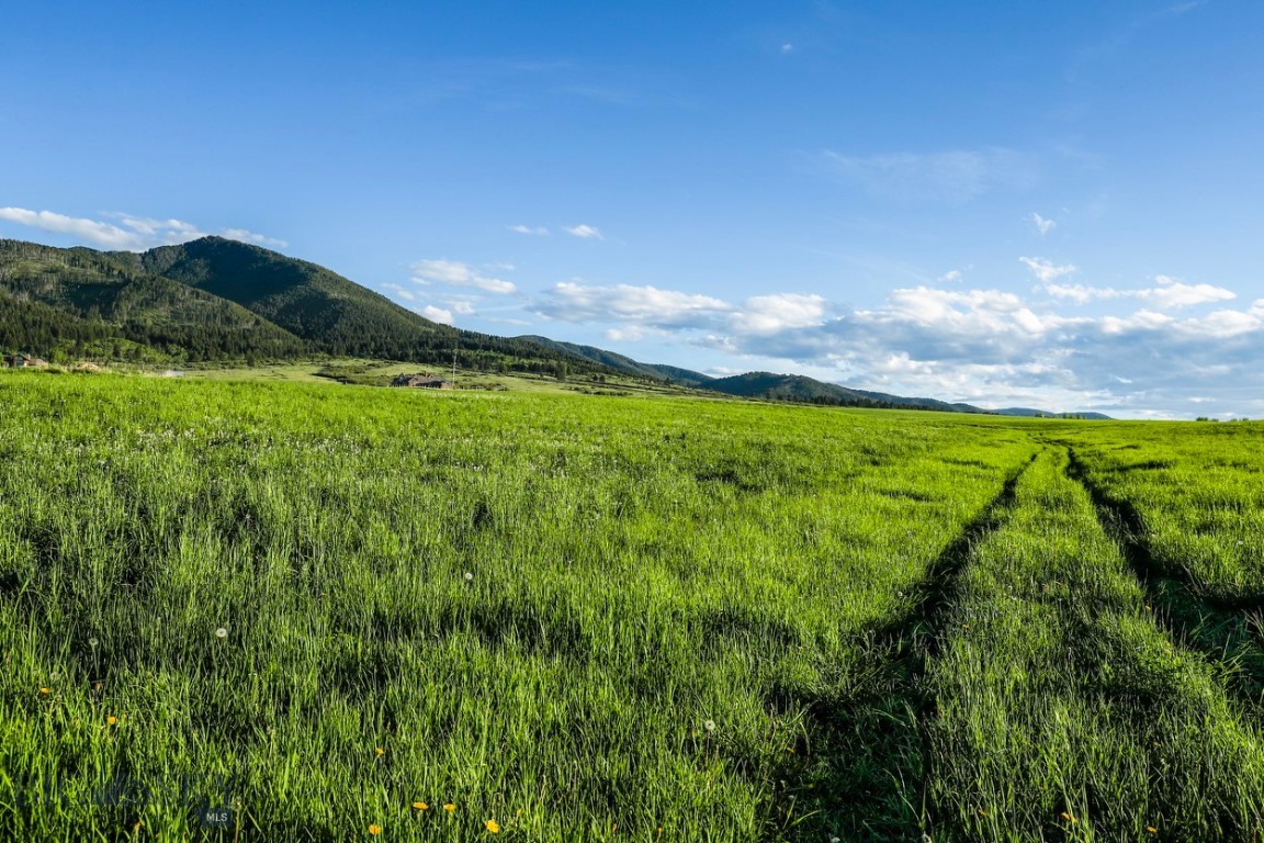 1903 Mount Ellis Lane