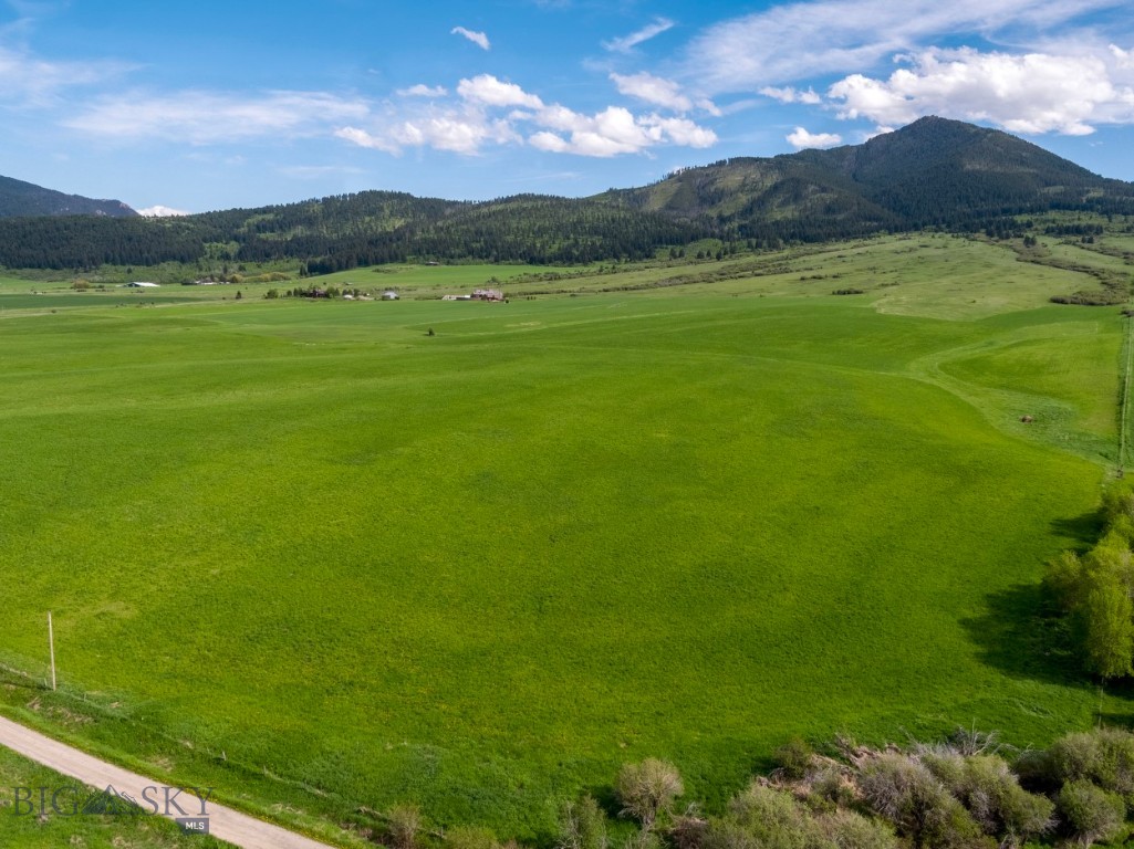 1903 Mount Ellis Lane